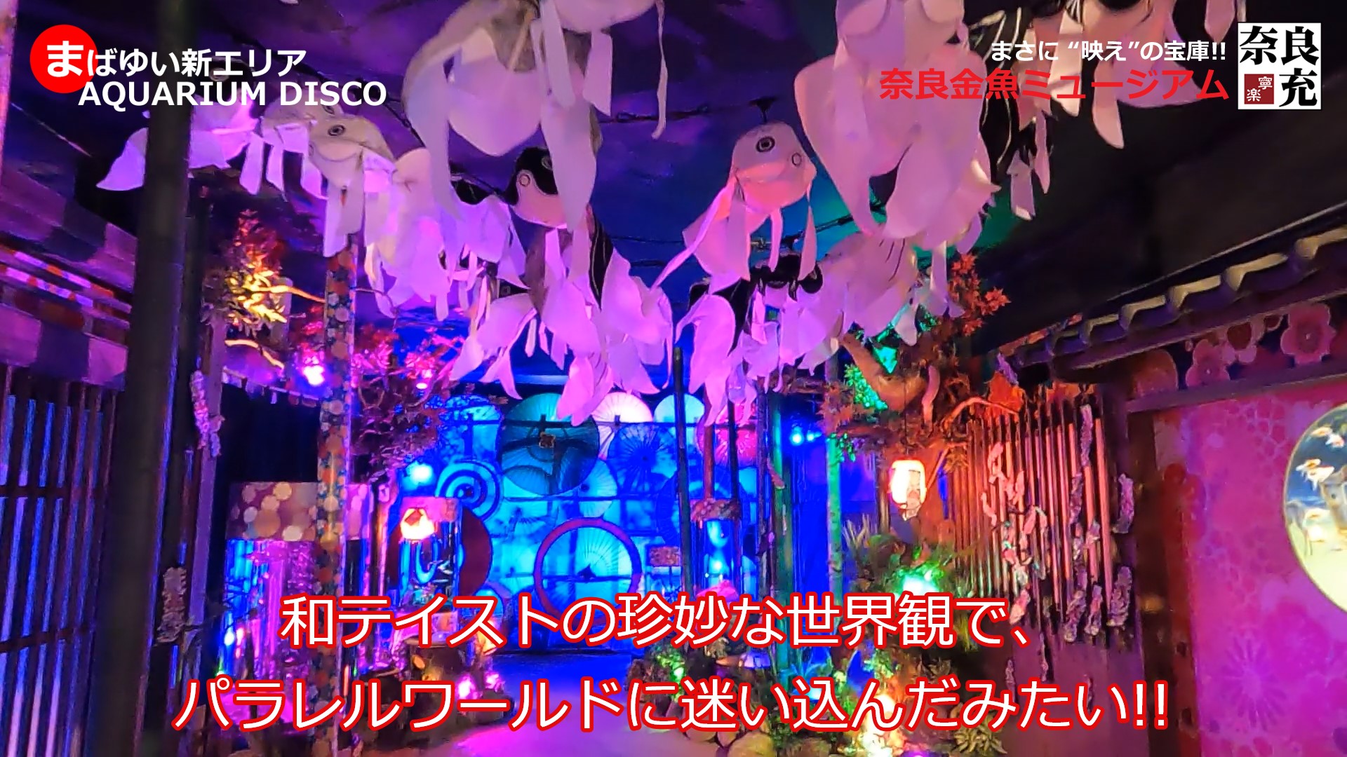 奈良金魚ミュージアム＠奈良市-05