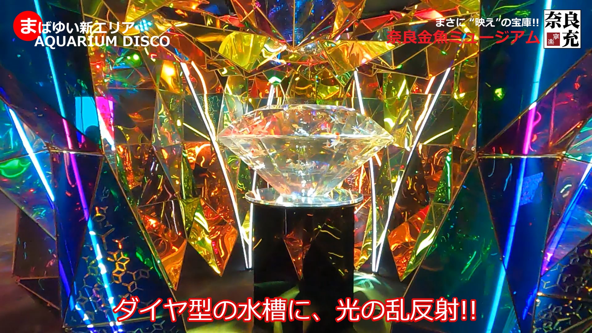 奈良金魚ミュージアム＠奈良市-07