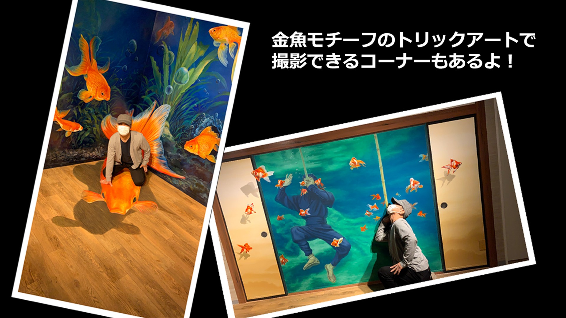 奈良金魚ミュージアム＠奈良市-08