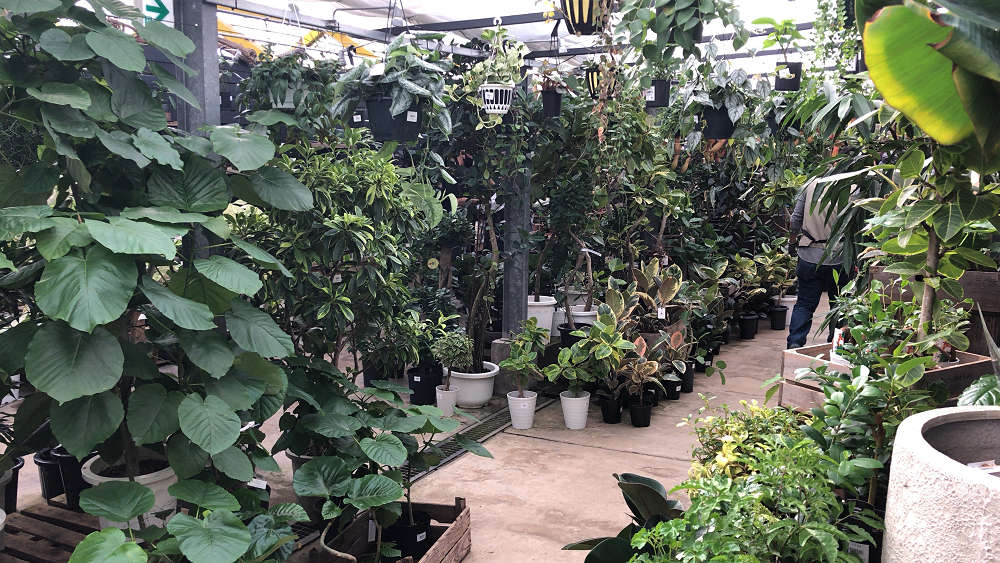 the Farm UNIVERSAL osaka@大阪府茨木市-04 the Farm UNIVERSAL osaka@大阪府茨木市-04