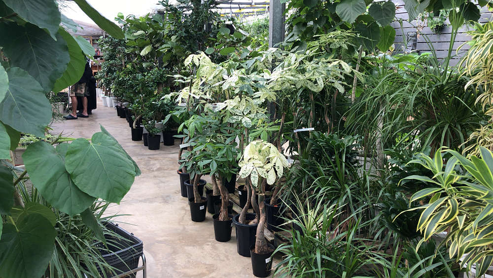 the Farm UNIVERSAL osaka@大阪府茨木市-05 the Farm UNIVERSAL osaka@大阪府茨木市-05