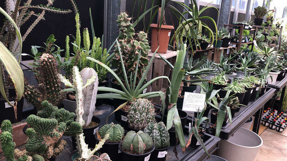 the Farm UNIVERSAL osaka@大阪府茨木市-06 the Farm UNIVERSAL osaka@大阪府茨木市-06