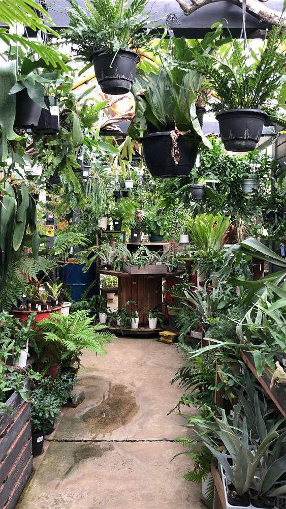 the Farm UNIVERSAL osaka@大阪府茨木市-07 the Farm UNIVERSAL osaka@大阪府茨木市-07