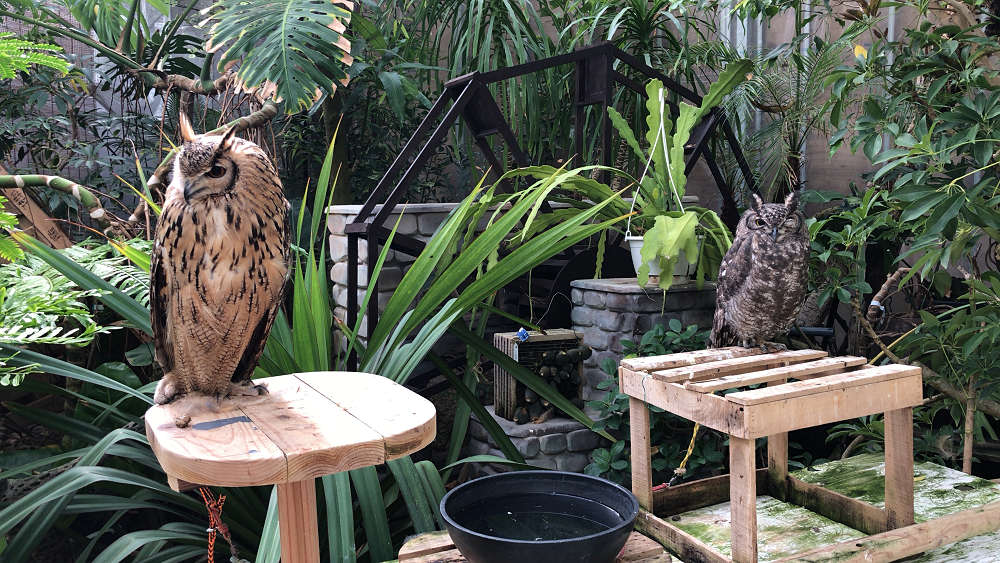 the Farm UNIVERSAL osaka@大阪府茨木市-08 the Farm UNIVERSAL osaka@大阪府茨木市-08