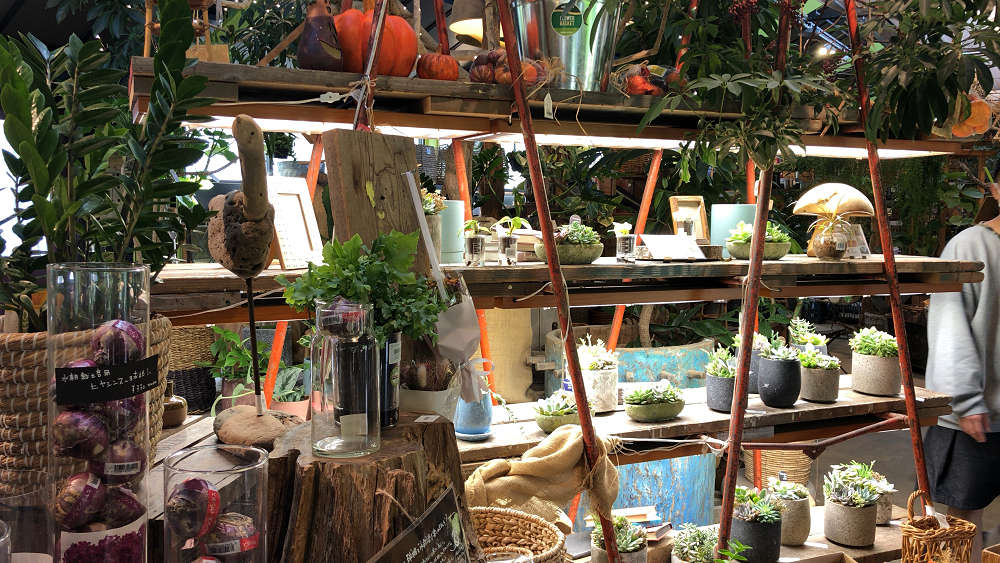 the Farm UNIVERSAL osaka@大阪府茨木市-11 the Farm UNIVERSAL osaka@大阪府茨木市-11