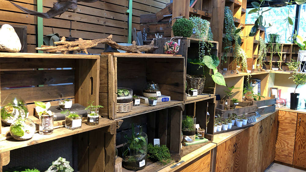 the Farm UNIVERSAL osaka@大阪府茨木市-14 the Farm UNIVERSAL osaka@大阪府茨木市-14