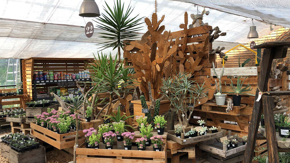 the Farm UNIVERSAL osaka@大阪府茨木市-17 the Farm UNIVERSAL osaka@大阪府茨木市-17