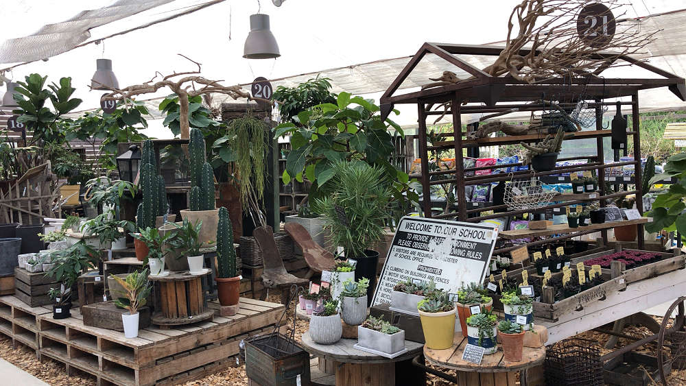 the Farm UNIVERSAL osaka@大阪府茨木市-18 the Farm UNIVERSAL osaka@大阪府茨木市-18