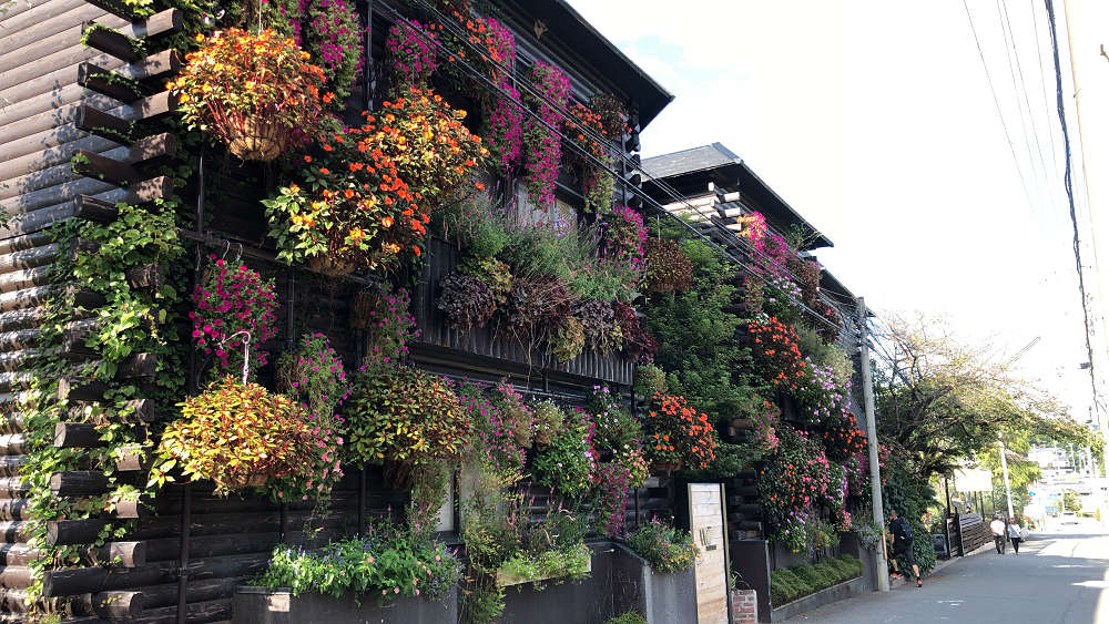 the Farm UNIVERSAL osaka@大阪府茨木市-19 the Farm UNIVERSAL osaka@大阪府茨木市-19