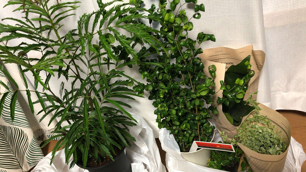 the Farm UNIVERSAL osaka@大阪府茨木市-22 the Farm UNIVERSAL osaka@大阪府茨木市-22