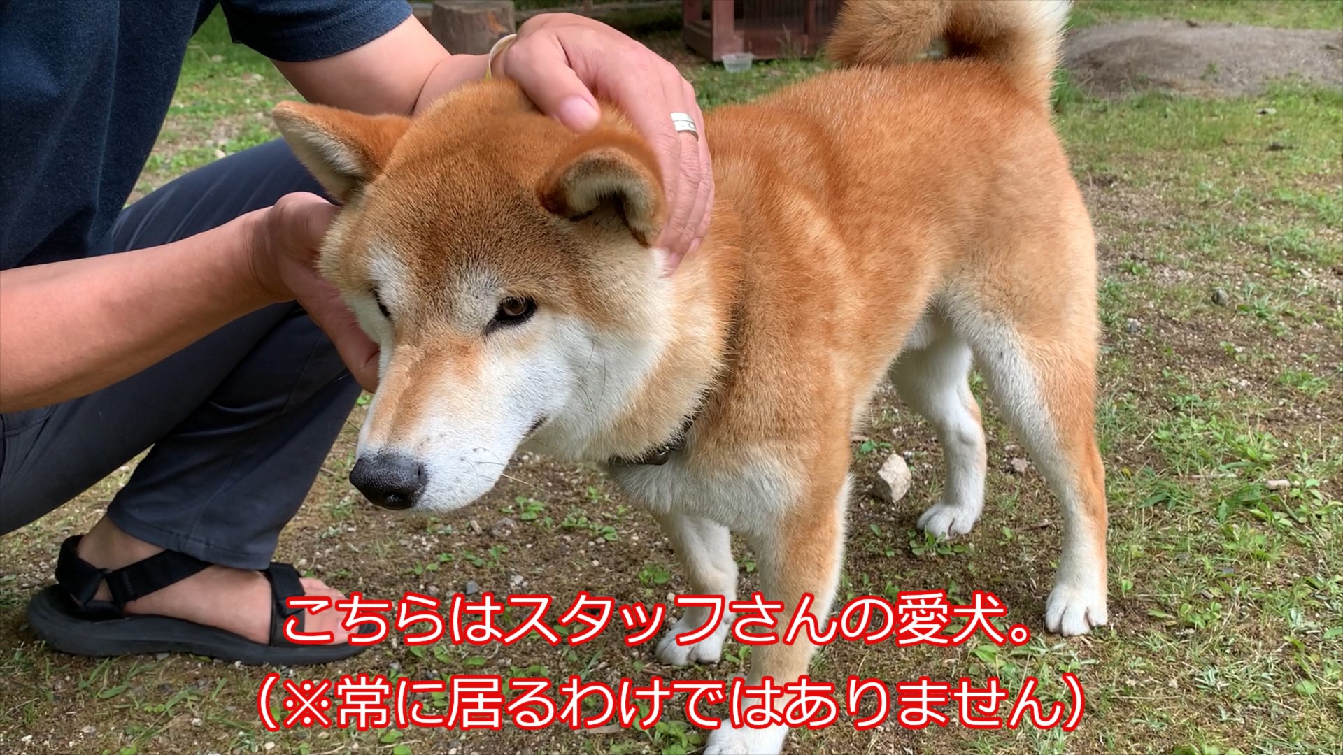 空中の村 @十津川村-06 空中の村 @十津川村-06