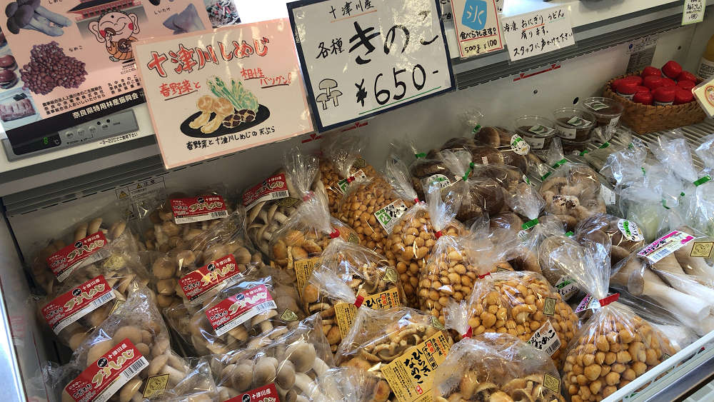 道の駅 十津川郷 @十津川村-12 道の駅 十津川郷 @十津川村-12