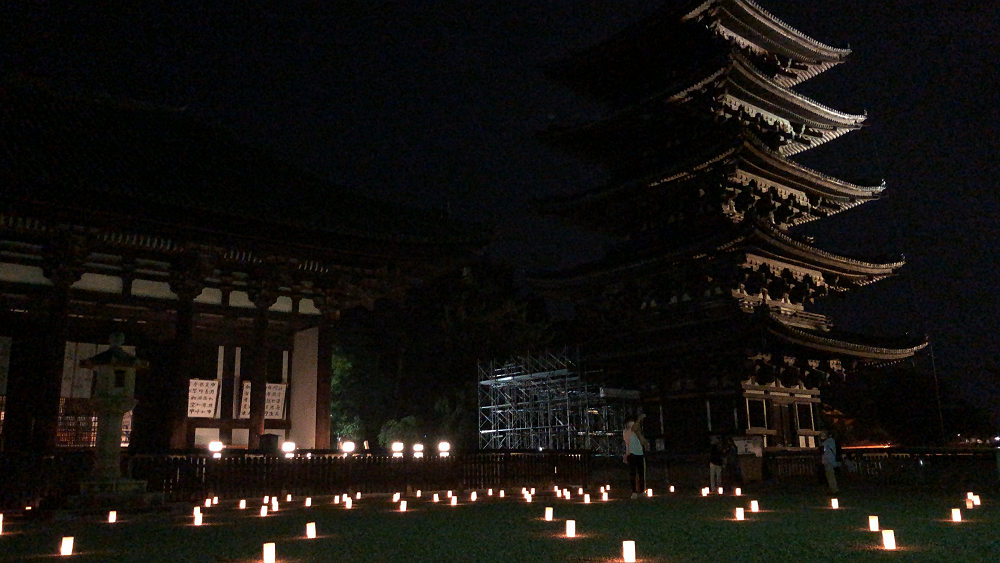 なら燈花会2022-02