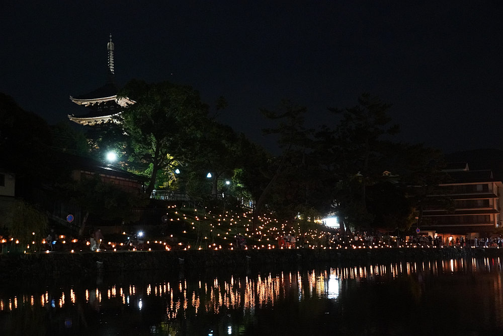 なら燈花会2022-03