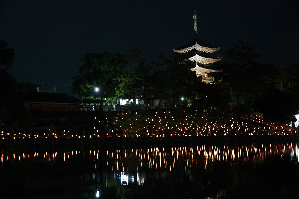 なら燈花会2022-04