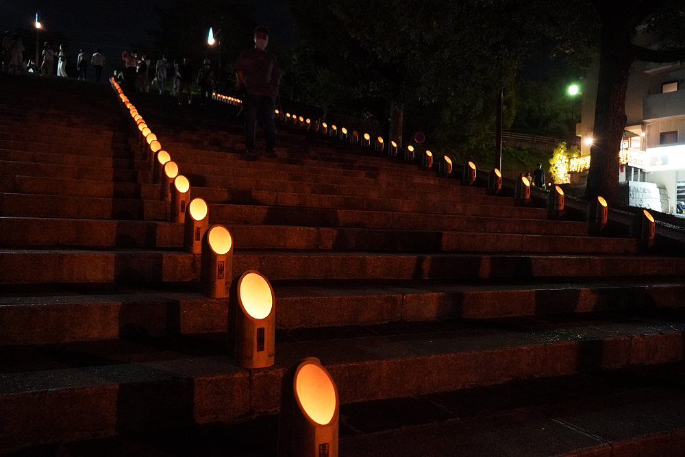 なら燈花会2022-05