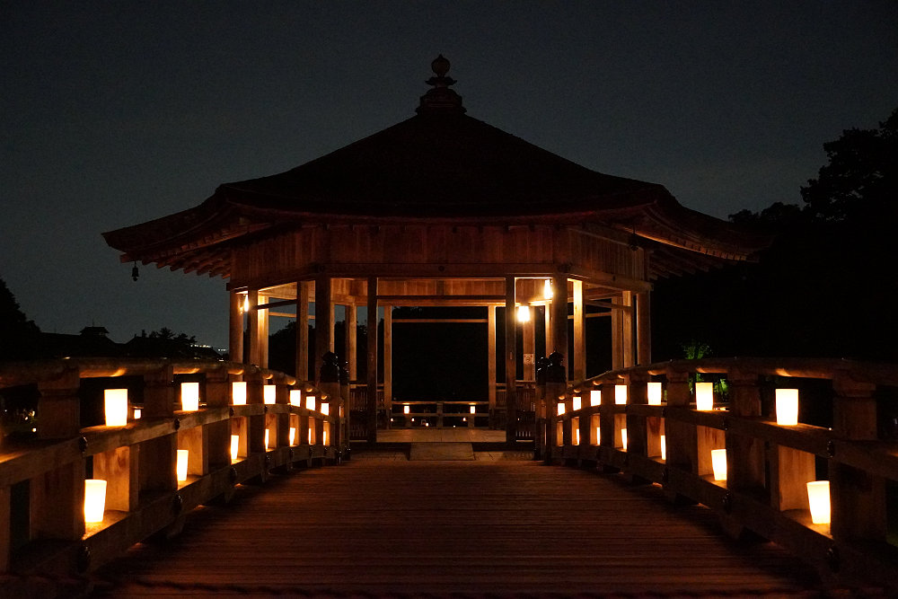 なら燈花会2022-16