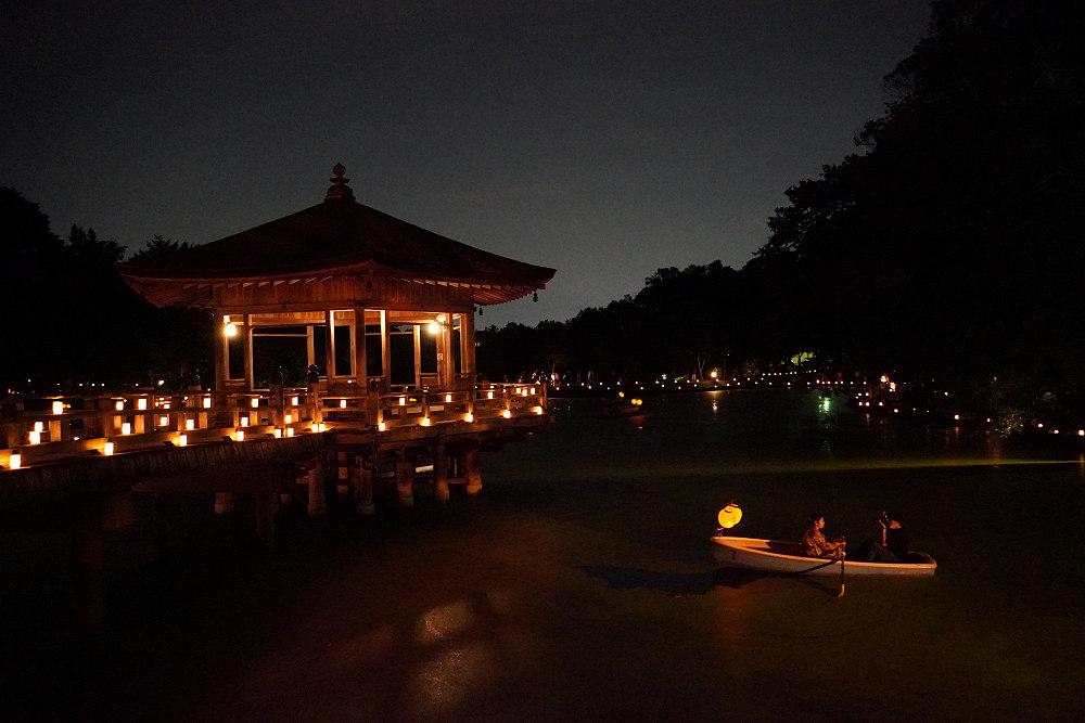 なら燈花会2022-17