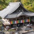 日本最大の塑像仏がいらっしゃる『岡寺』＠明日香村