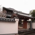 南都仏師の大きな「大仏地蔵」のお寺『福智院』＠奈良市