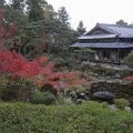 奈良中心部で楽しめる庭園の紅葉『吉城園』＠奈良市