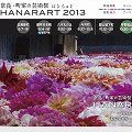 奈良・町家の芸術祭『HANARART 2013』＠宇陀松山エリア
