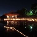 奈良の夏の夜の風物詩『2015なら燈花会』を観てきました