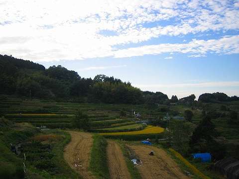 明日香村：稲淵地区の「棚田」