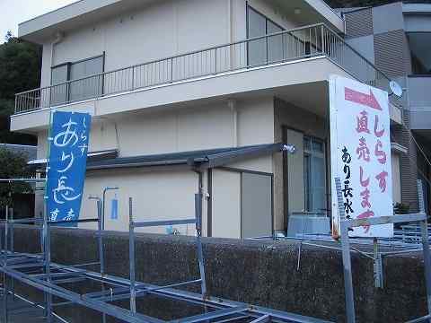 我が家の定番！下津漁港の『シラス』