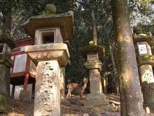 町家と鹿と朱塗りの柱！「高畑・春日大社」散歩その２