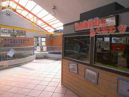 無料が嬉しい『ウミガメふれあいパーク』＠紀宝町