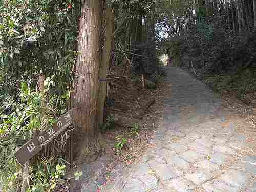 とにかくのどか！初めての「山の辺の道」散歩その３