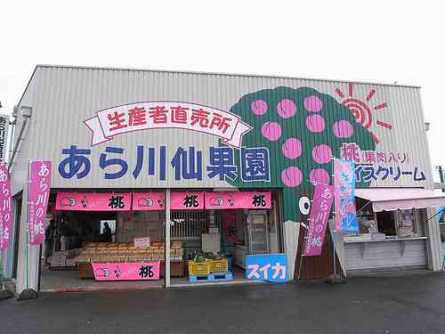 日本の『桃源郷』で「桃」を食してきました＠和歌山