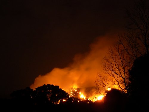 奈良に早春を告げる『若草山焼き』見物＠飛火野