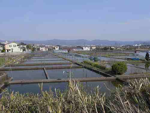 商店街を歩いてみました『柳町商店街』＠大和郡山市