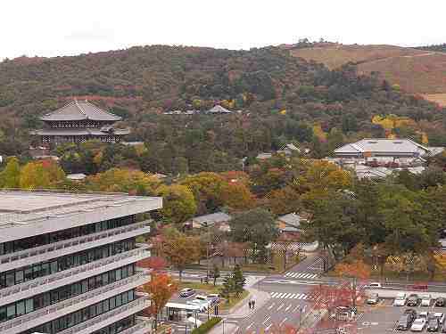 奈良市街の紅葉を一望できる『奈良県庁屋上展望台』