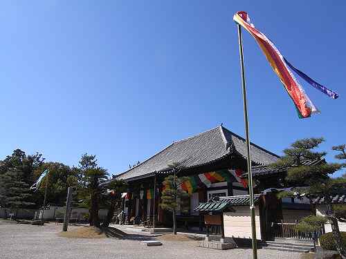 満開のしだれ桜と55体の善財童子『ひな会式』＠法華寺