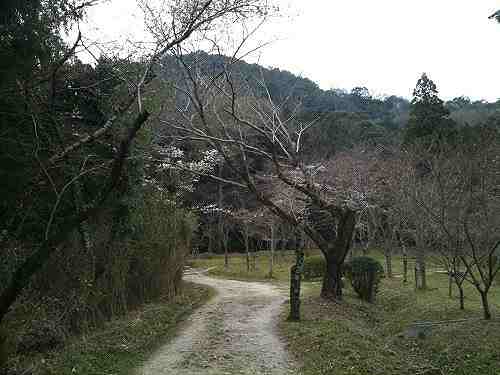 大和三山に登ろう!<その3>『畝傍山』@橿原市