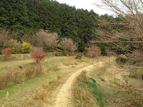 神々の里・高天原周辺を20kmほど『葛城古道ジョグ』