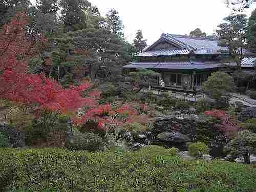 奈良中心部で楽しめる庭園の紅葉『吉城園』@奈良市