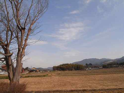 大津皇子の辞世の句が残る『磐余の池』＠橿原市