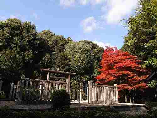 美しい紅葉と見事な御陵『皇極・斉明天皇陵』＠高取町