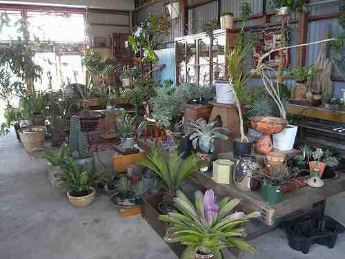 成長途上のかっこいい園芸店『GREEN PEOPLE』@白毫寺町