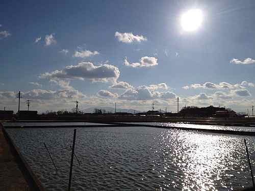 冬の金魚池・渋い古民家など。大和郡山市ぶらぶらジョグ