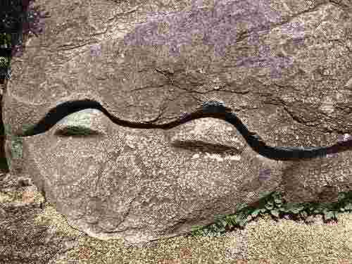 亀石・猿石など。飛鳥の不思議な「石造物」たち＠明日香村