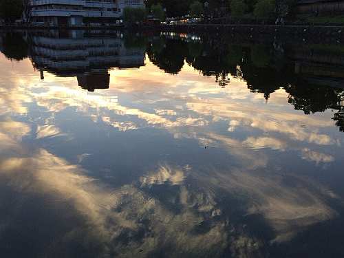 カルガモ親子・鹿・猿沢池の夕焼け。初夏の奈良の風景