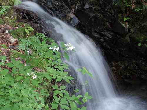 高さ21mの美しい滝『不動の滝（御杖不動滝）』＠御杖村