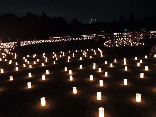 約2万本のろうそくの灯りが揺れる『なら燈花会2017』