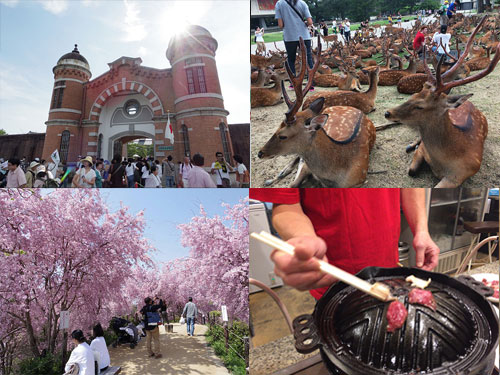 【2017年まとめ】記憶に残った奈良の記事15選+α