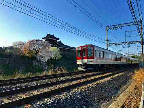 日本さくら名所100選 『郡山城跡』の桜 @大和郡山市